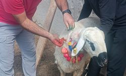 Kırşehir’de asırlık gelenek yaşatıldı