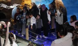Kırşehir’de minik kaşifler tabiat müzesinde yaban hayatını keşfetti