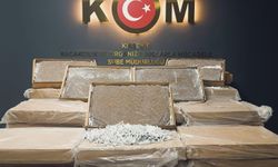 Kırşehir’de kaçakçılık operasyonu 221 bin 400 dal ele geçirildi