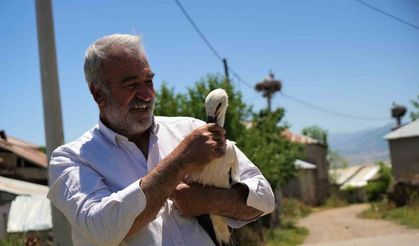 Yuvadan düşen leylek yavrusu koruma altına alındı
