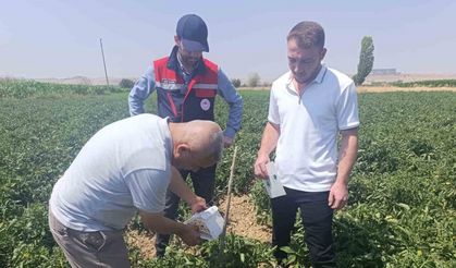 Bitki sağlığı faaliyetleri devam ediyor