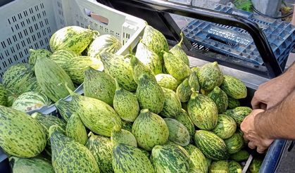 Kelekler pazar tezgâhlarında yerini aldı