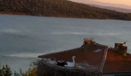 Yaren Leylek depremi önceden hissetti mi?