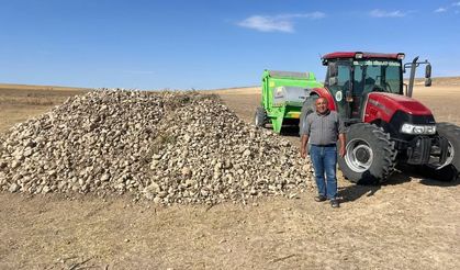 Taş toplama çalışması tamamlandı