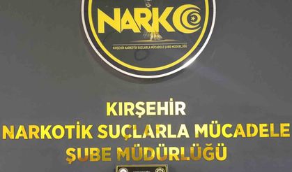 Kırşehir'de 166 Sentetik Hap ve 475 Gram Madde Ele Geçirildi