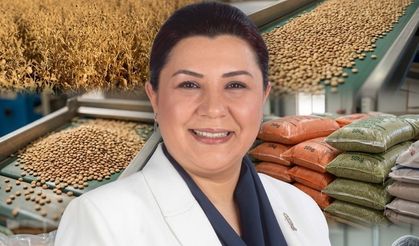 Seher Ünsal: Kırşehir’de yeşil mercimek üretimi yeniden ivme kazanacak”
