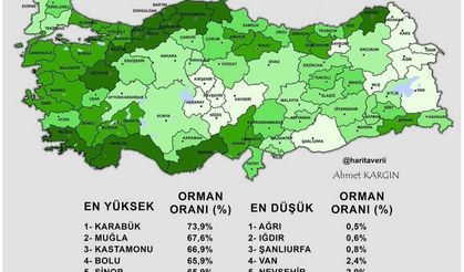 Kırşehir En Az Orman Varlığına Sahip İller Arasında!