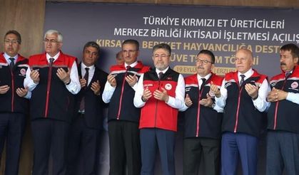 Kırşehirli Besicilere Müjde: Aşı Ve Küpe Ücreti Kaldırıldı