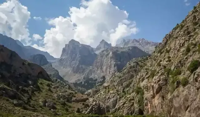 Dağcıların ve doğaseverlerin gözdesi 