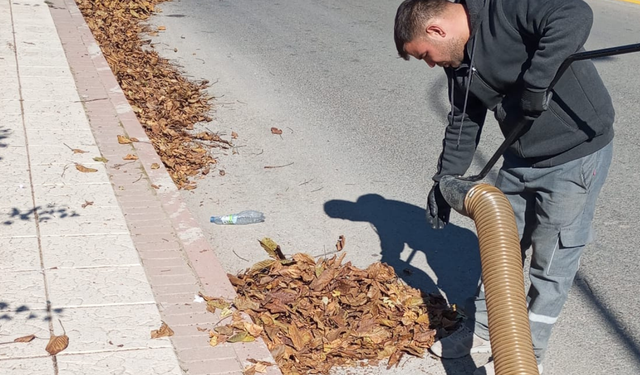 Kırşehir'de Sonbahar temizliği seferberliği başladı