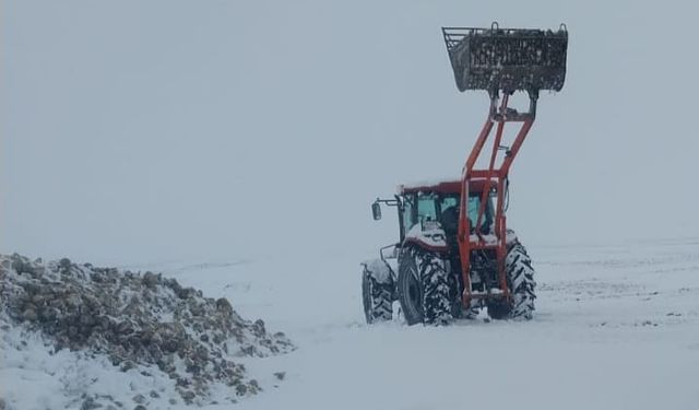 Kar çiftçileri hem sevindirdi hem endişe yarattı