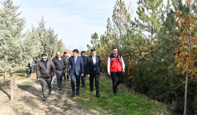 Seyfe Gölü, için düğmeye basıldı