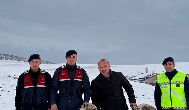 Akçakent'te şok hırsızlık