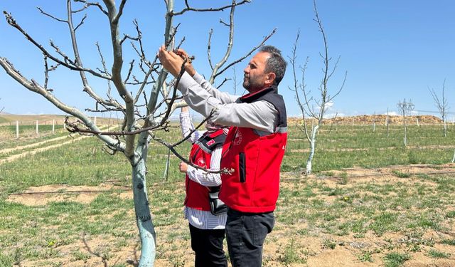 Kırşehir’de tarım ekipleri hasar tespiti için sahada