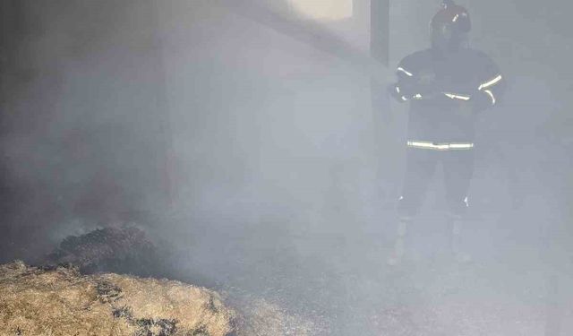 Elazığ’da samanlık yangını