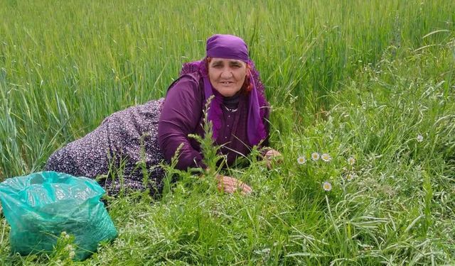 Yeniyapan'da sessiz bir veda