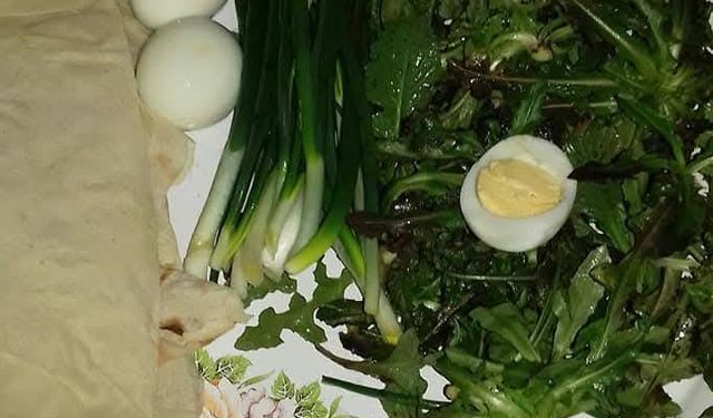 Kırşehir'de baharın habercisi otlar sofralarda yerini aldı