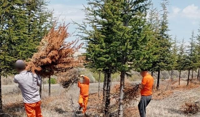 Kırşehir’de hükümlüler toplumsal fayda için çalışıyor