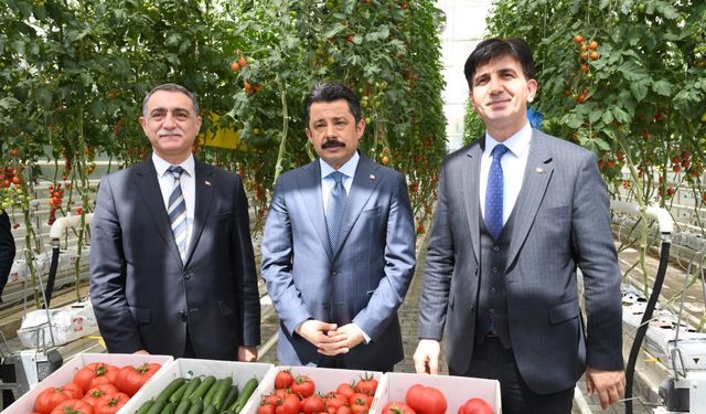 Kırşehir’de Türkiye’nin ilk GES destekli hidroserası tanıtıldı