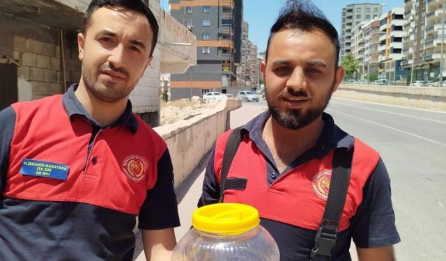 Mutfakta yılan operasyonu