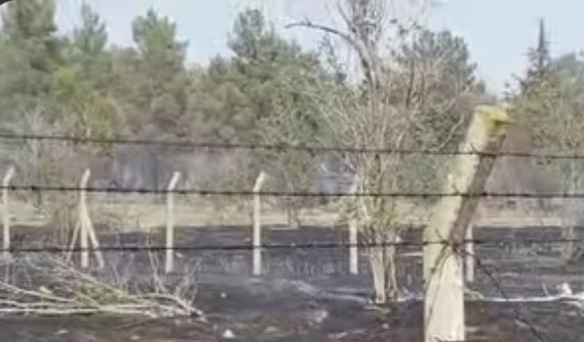 Atatürk Barajında korkutan yangın