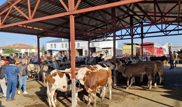Kırşehir’de canlı hayvan pazarı  açılıyor