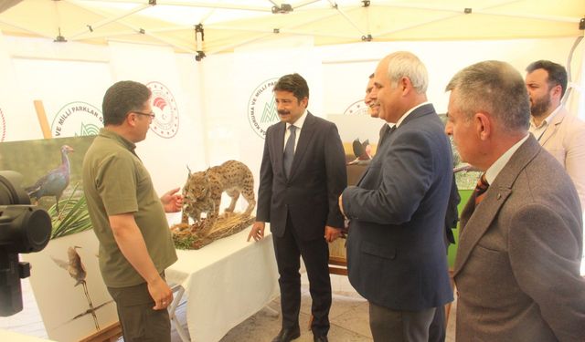 Kırşehirliler Cacabey Meydanı'nda doğayla buluştu