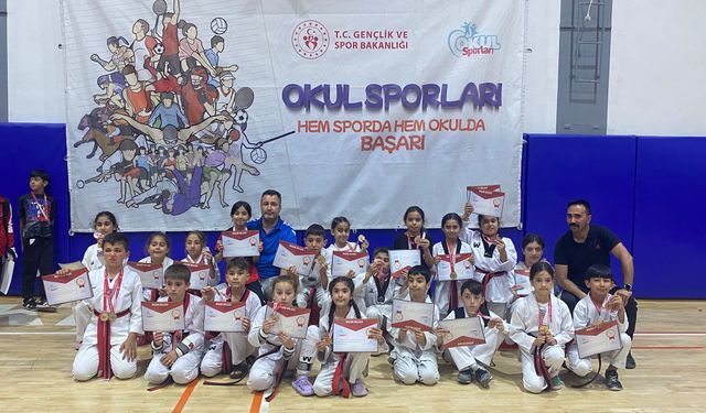 Minik tekvandocular Kırşehir’de yıldızlaştı