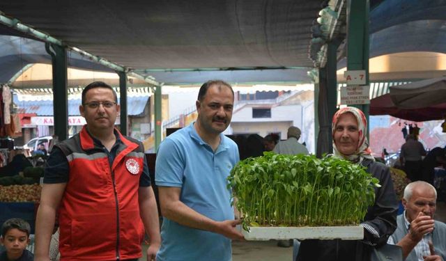 Demircili çiftçilere 40 bin ücretsiz sebze fidesi dağıtıldı