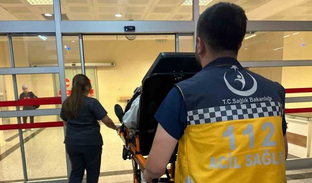 Kadınlar arasındaki kavgayı ayırmak isterken yaralandı