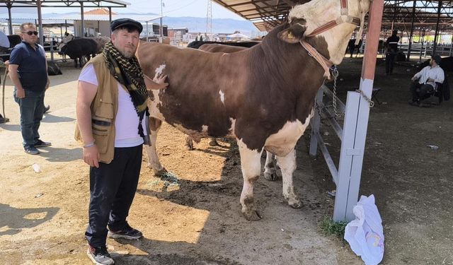 Şap alarmında Kırşehir  ülke genelinde öne çıktı