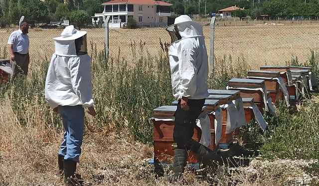 Denetimlerde ve arı kovanı tespitinde hız kesmedi
