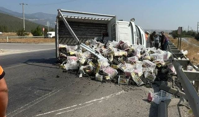 Kamyonet lastik patlamasıyla yan yattı, 2 kişi yaralandı