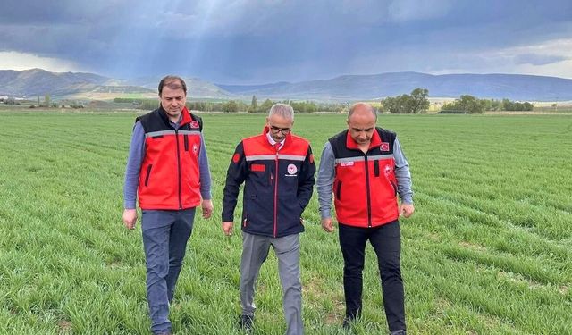 Kırşehir’de rakamlar gerçeği ortaya koydu
