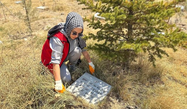 Gençler  Şehitlik Ormanı'nı yeniden ışıldattı!