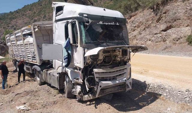 Tır devrildi, yolcu burnu kanamadan çıktı