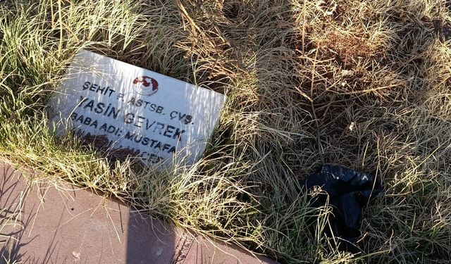 Şehitlik  bakımsızlıktan yok olma tehlikesiyle karşı karşıya