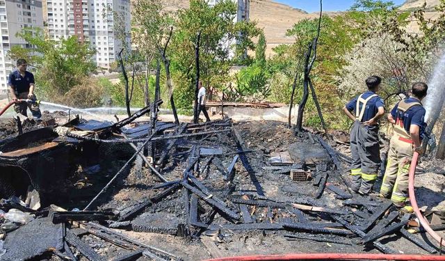 Yangında 33 kanatlı hayvan telef oldu