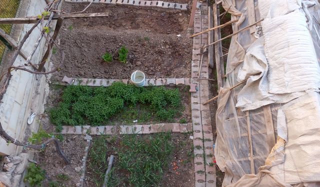 Kırşehir’de sonbahar hasadı için bahçeler hazırlanıyor