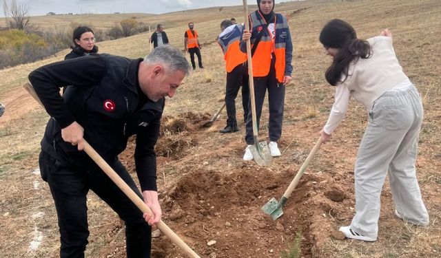 AFAD Gönüllüleri doğaya fidan dikerek çevre duyarlılığına katkı sağladı