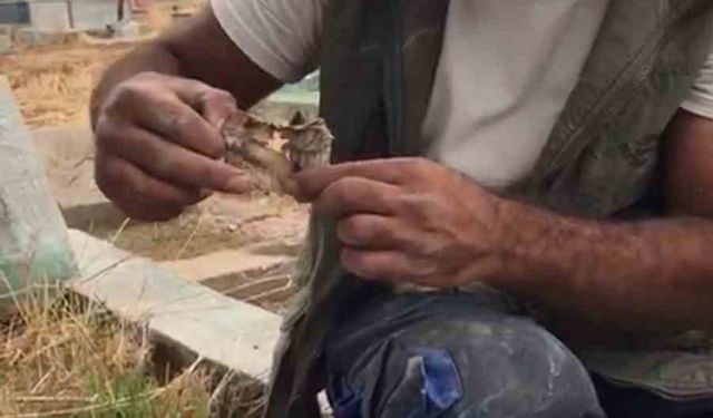 Gören şaşkına döndü!