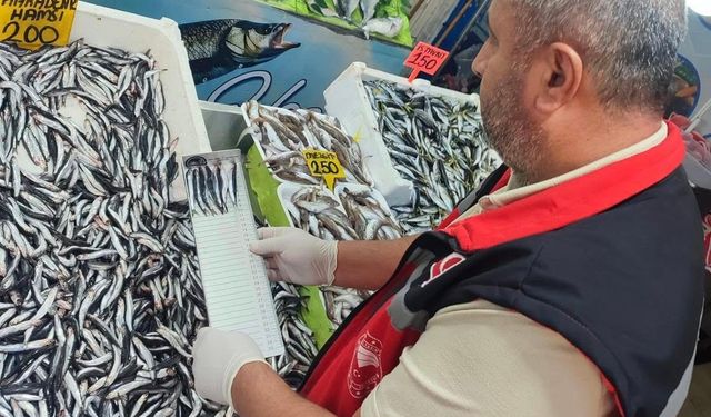 Kırşehir’de su ürünleri denetimi eş zamanlı yapıldı