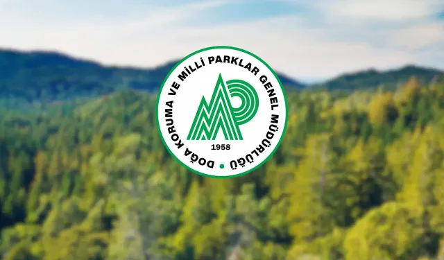 DKMP 240 sözleşmeli personel alımı yapacak!