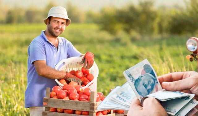 Kırşehir’de genç çiftçilere bedelsiz arazi ve faizsiz kredi desteği geliyor