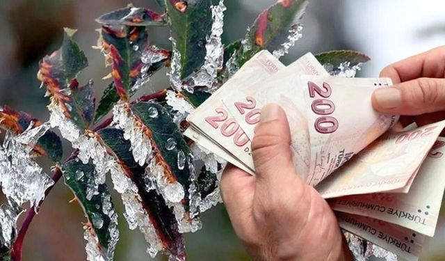 Kırşehirli çiftçilere zirai don destekleri yolda