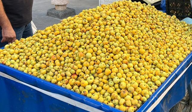 Kırşehir’in şifalı meyvesi Alıç tezgâhlarda
