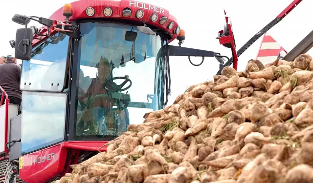 Pancar alım fiyatı ton başına 3.100 TL’ye yükseldi