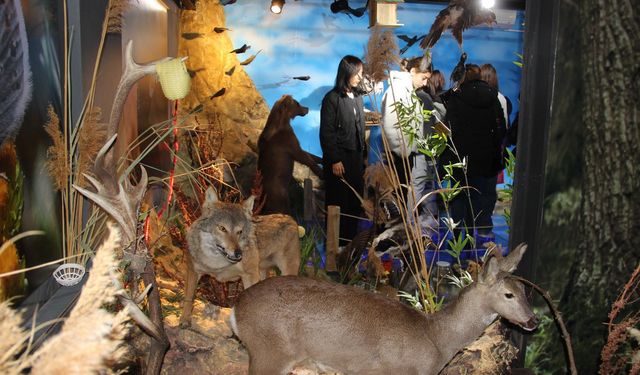 Kırşehir’de Öğrencilere Doğa ve Biyoçeşitlilik Eğitimi