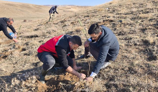 Akçakent’te yeni bir nefes: Köy arazisi fidanlarla buluştu