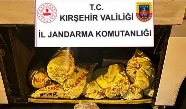 Kırşehir’de kaçak hayvansal ürün operasyonu: Tonlarca ürün ele geçirildi